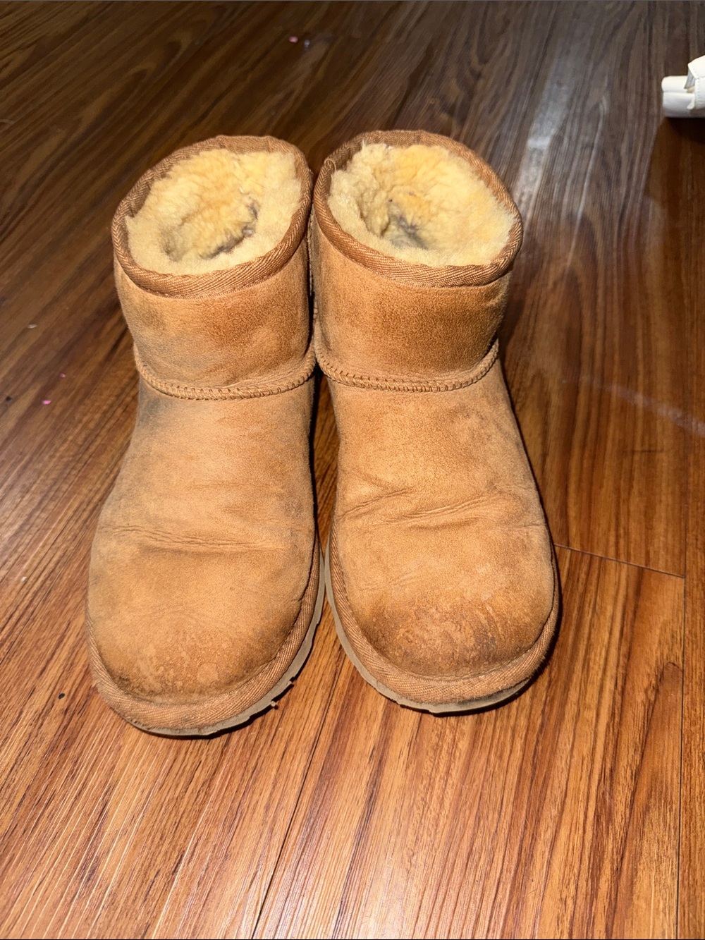 UGG Classic Short Boots - Chestnut Brown